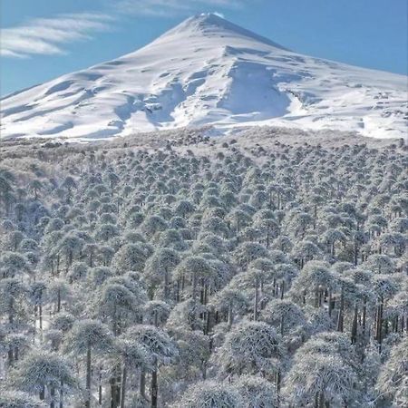 Pucon, La Capital Del Sur De Chile 아파트 외부 사진