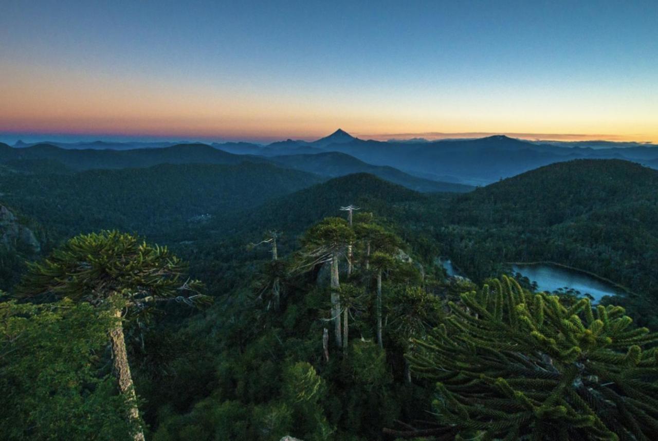 Pucon, La Capital Del Sur De Chile 아파트 외부 사진