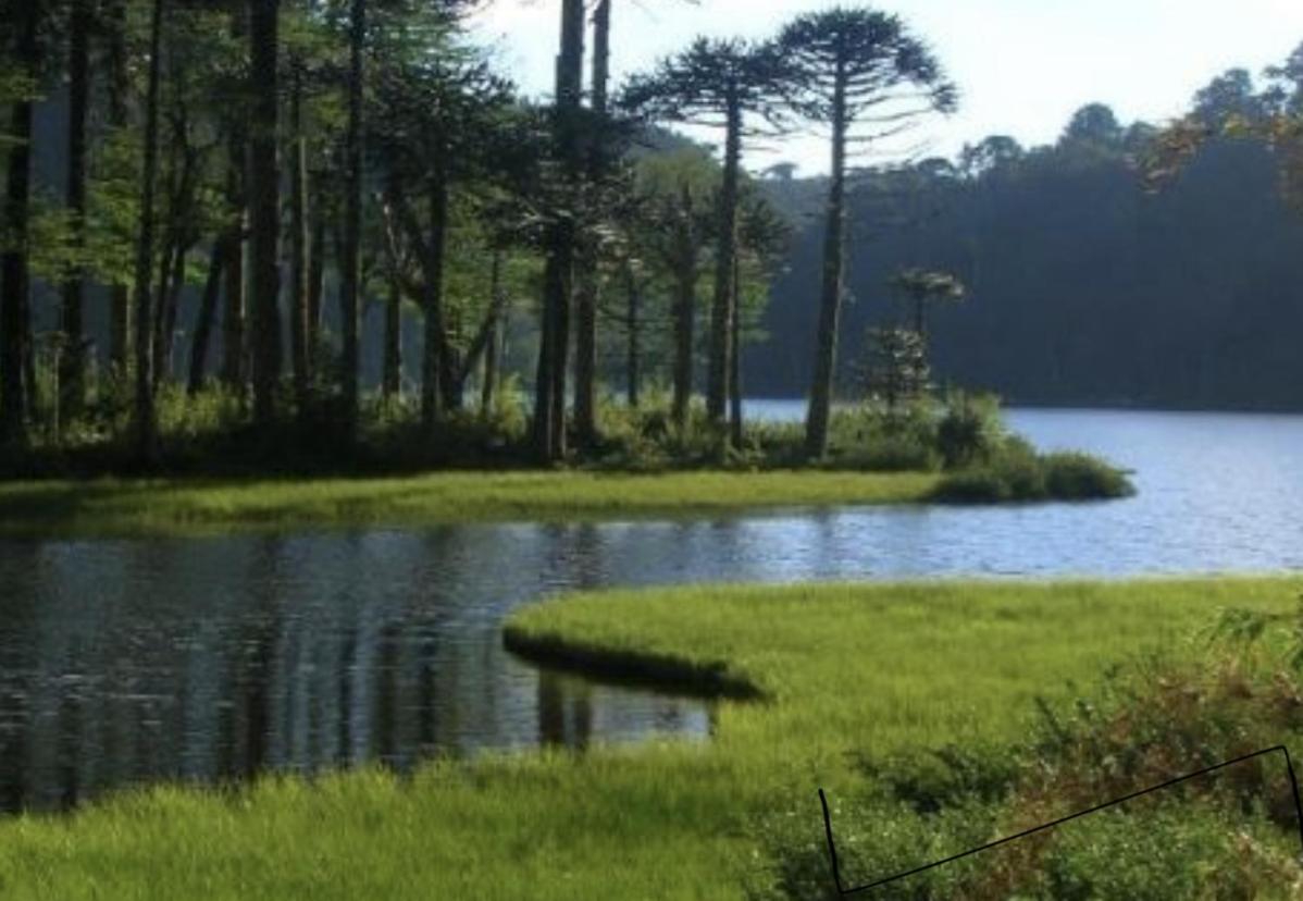 Pucon, La Capital Del Sur De Chile 아파트 외부 사진